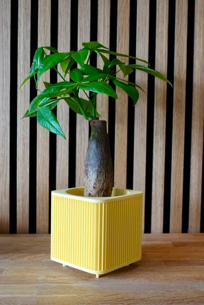 Modern Japanese Inspired Shikaku Planter with Legs, Gift for Home Decor and Plant Lovers