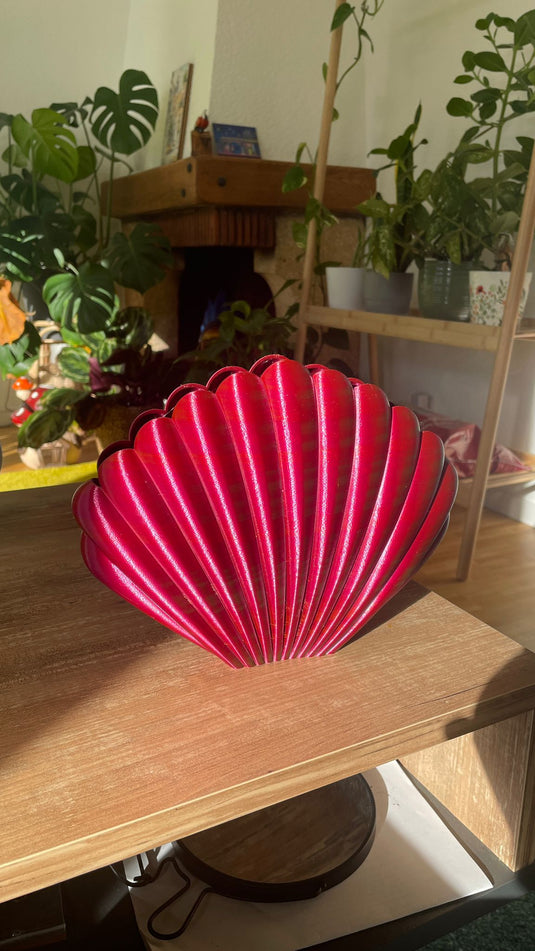 Modern Sea Shell Vase