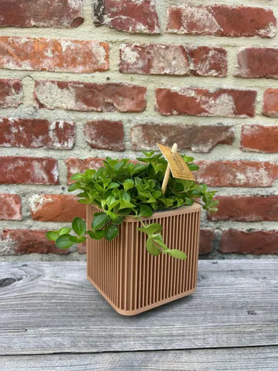 Modern Japanese Inspired Shikaku Planter with Legs, Gift for Home Decor and Plant Lovers